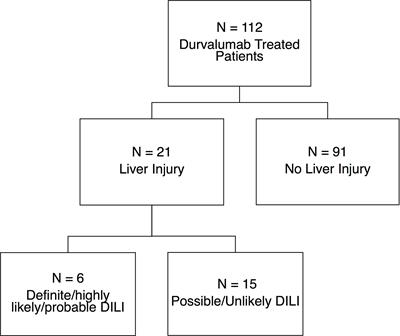 Liver injury during durvalumab-based immunotherapy is associated with poorer patient survival: A retrospective analysis